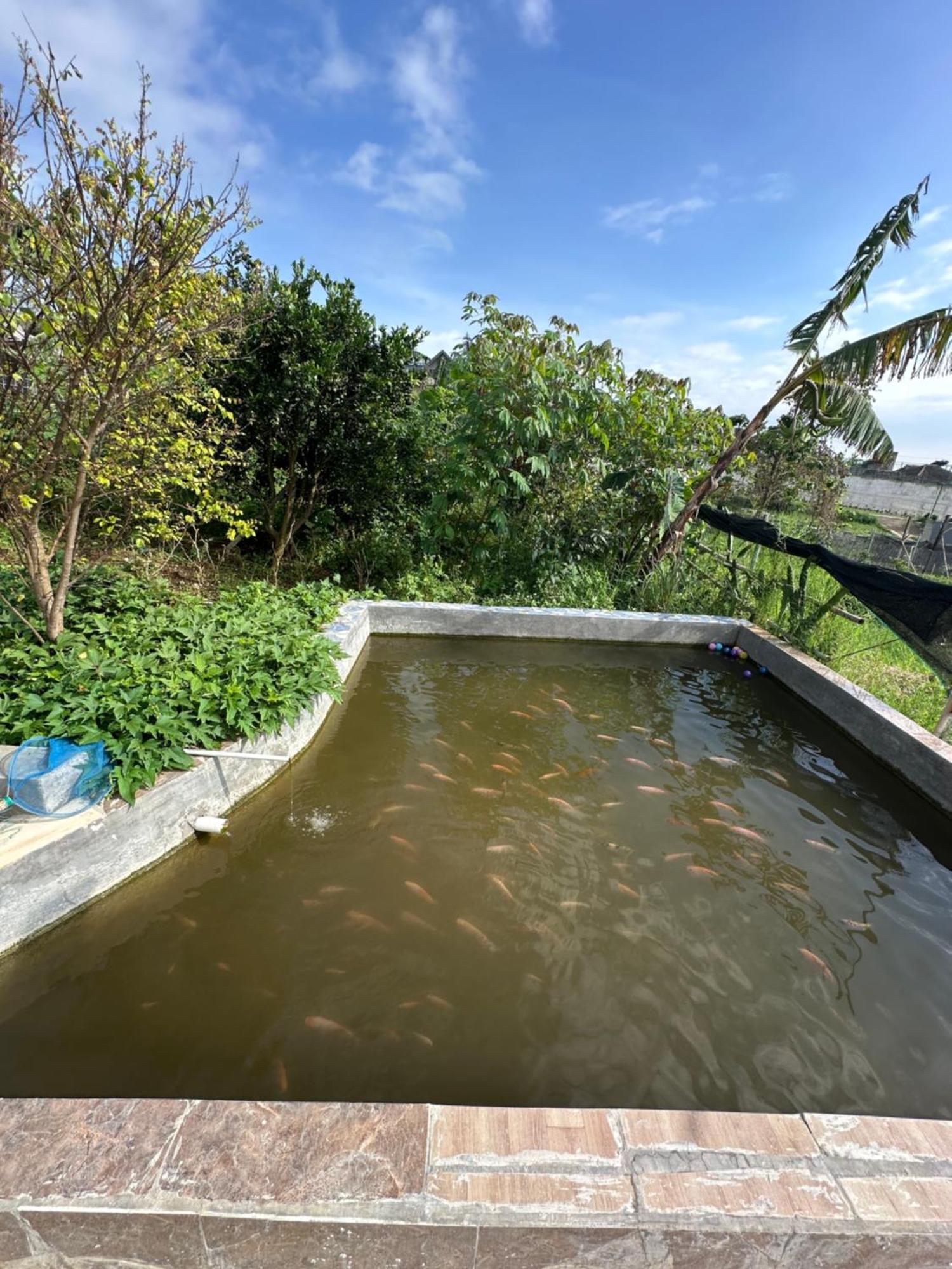 Jason Farm Villa Pacet  Exterior foto